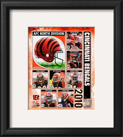 2010 Cincinnati Bengals Team Composite