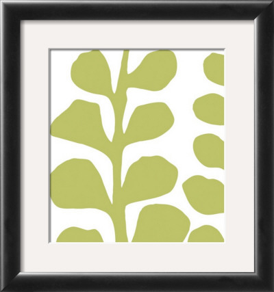 Green Fern on White