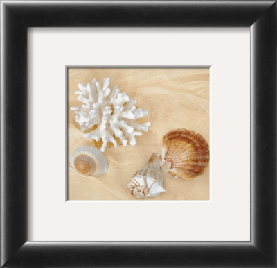 Buy Shells IV at AllPosters.com