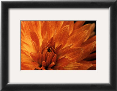 Buy Untitled at AllPosters.com