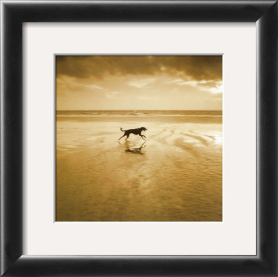 Buy Dog on the Beach, West Wittering at AllPosters.com