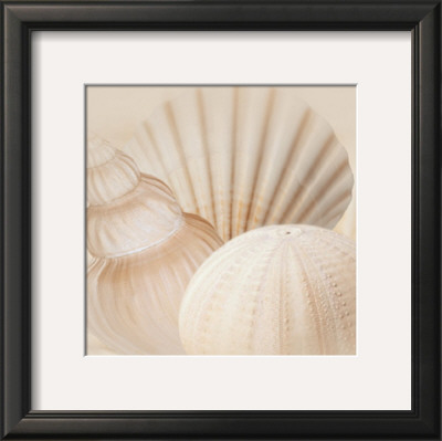 Buy Shells III at AllPosters.com
