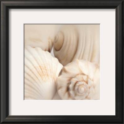 Buy Shells II at AllPosters.com