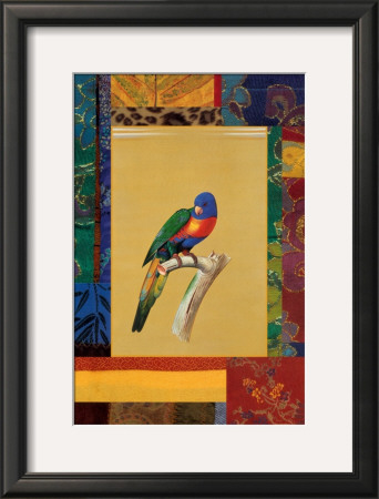 Australian Parrot