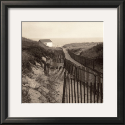 Buy Dune Fence at AllPosters.com