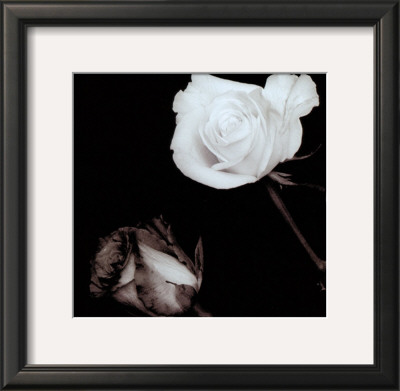 Buy Two Roses at AllPosters.com