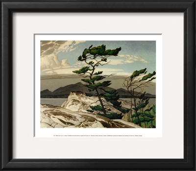 White Pine