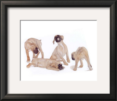 Puppies and Kittens III