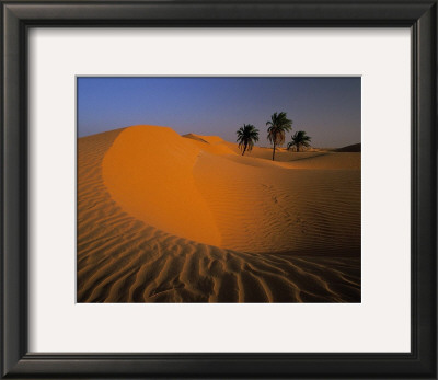 Buy Algerie at AllPosters.com
