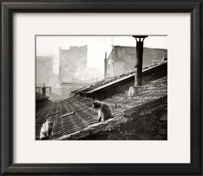Buy Cats on a Roof, Paris I at AllPosters.com