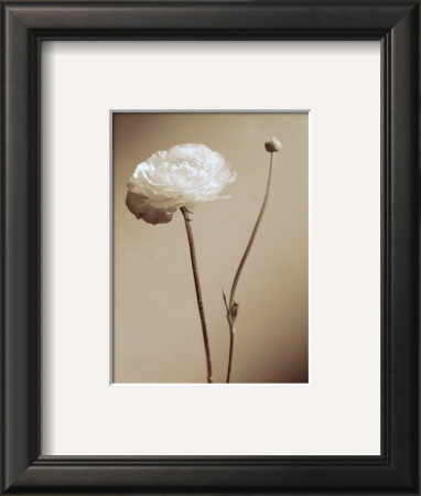 Buy Black and White I at AllPosters.com