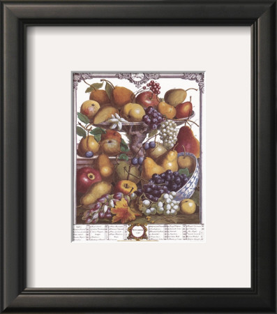 Twelve Months of Fruits, 1732, November