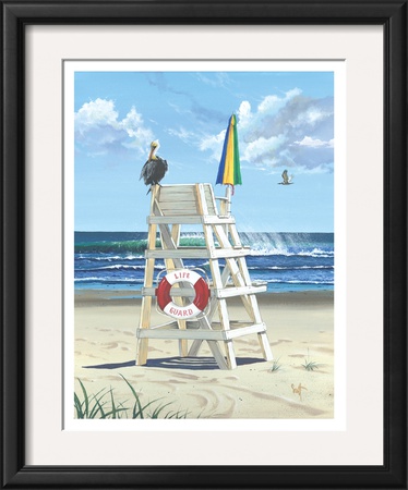 Pelican Perch Poster