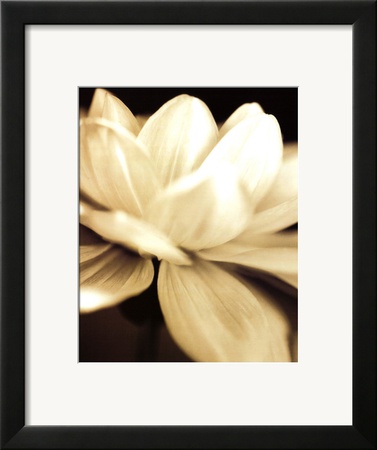 Radiance II