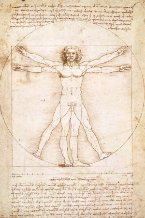 Buy Human Proportions - Vitruvius Man at AllPosters.com