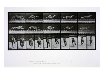 Greyhound Running, Plate 708 from 