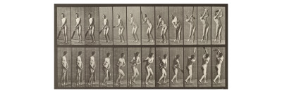 Buy Cricketer, Plate 291 from 'Animal Locomotion', 1887 at AllPosters.com