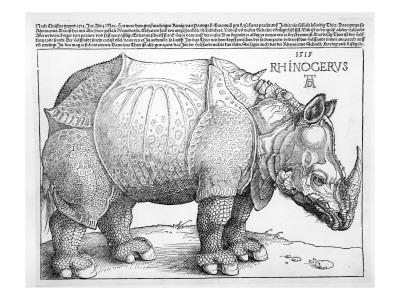 The Rhinoceros, 1515