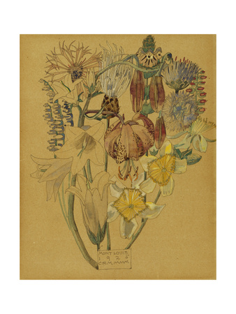 Mont Louis - Flower Study, 1925