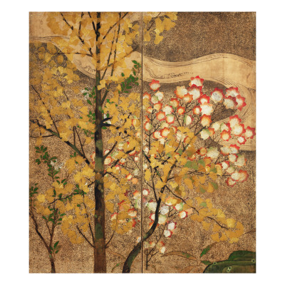 Autumn Tree