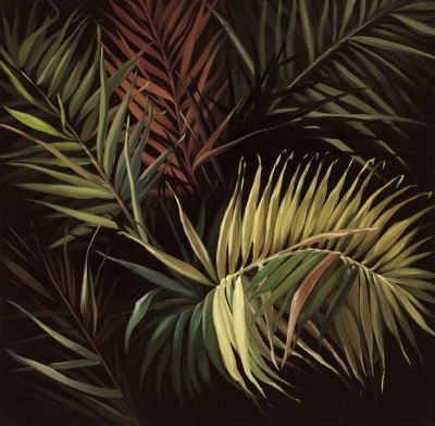 Rain Forest I