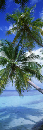 Maldives
