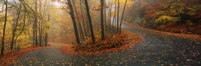 Winding Road Through Mountainside in Autumn, Monadnock Mountain, New Hampshire, USA