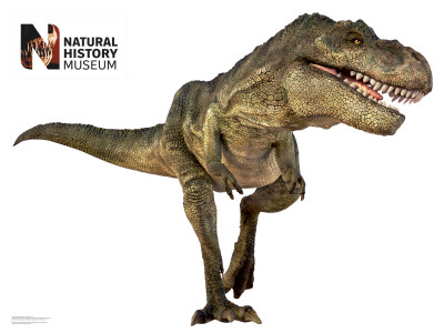 T. Rex