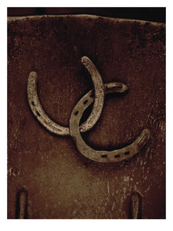 Lucky Horse Shoes on Rust Metallic