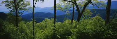 Great Smoky Mountains National Park, Tennessee, USA