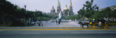 Horsedrawn Carriage on a Road, Liberation Plaza, Guadalajara, Jalisco, Mexico