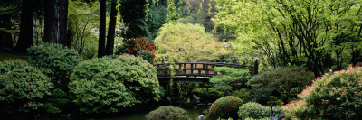 Garden, Japanese Garden, Washington Park, Portland, Oregon