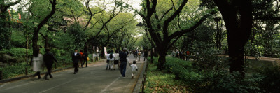 People Walking in a Park, Ueno Park, Taito, Tokyo Prefecture, Kanto Region, Japan