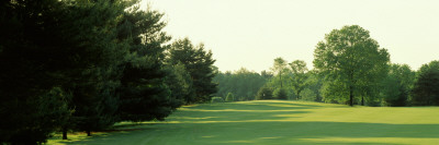 Trees on a Golf Course, Woodholme Country Club, Baltimore, Maryland, USA