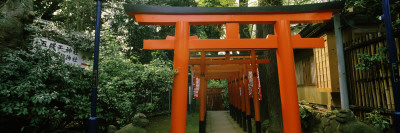 Torii Gates in a Park, Ueno Park, Taito, Tokyo Prefecture, Kanto Region, Japan