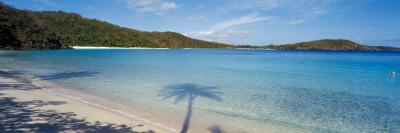 Shadow of Trees on Beach, Hawksnest Bay, Virgin Islands National Park, St. John, Us Virgin Islands