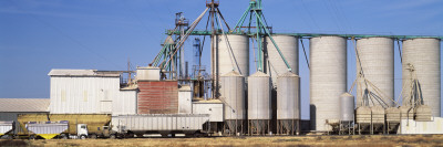 Grain Silos in a Field, Central Valley, California, USA