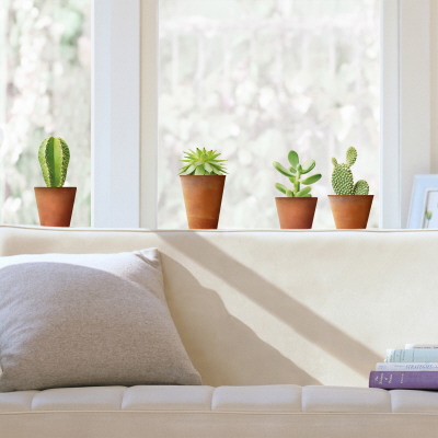 Cactus  (Window Decal)