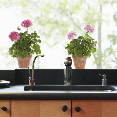 Pink geranium  (Window Decal)