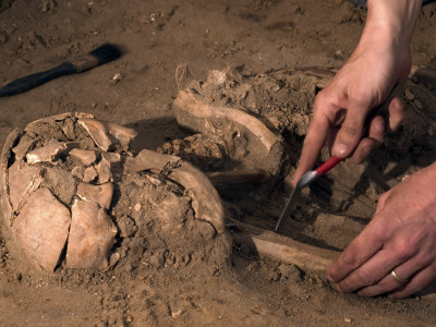 Archeological Dig