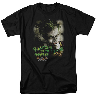 Batman AA-Welcome To The Madhouse