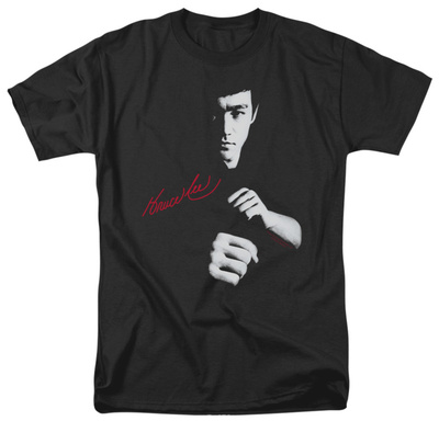 Bruce Lee-The Dragon Awaits