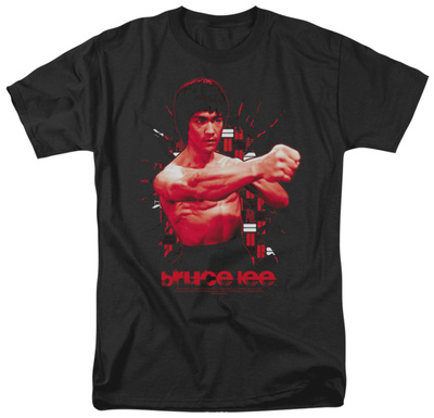 Bruce Lee-The Shattering Fist