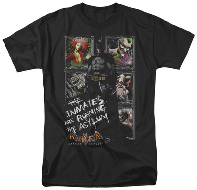 Batman AA-Running The Asylum