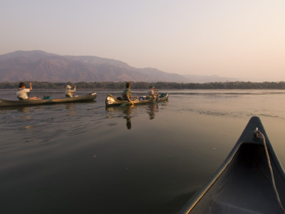 Canoe Safari, Zambezi River