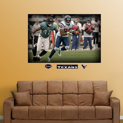 Andre Johnson Mural