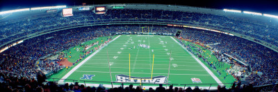 Philadelphia Eagles NFL Football, Veterans Stadium, Philadelphia, PA Poster