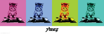 Steez-Dj Kitty