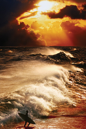 Buy Surf at AllPosters.com