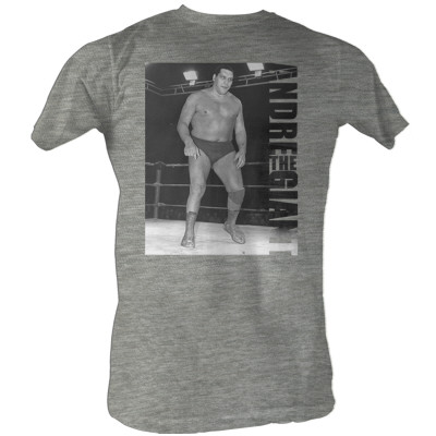 Andre the Giant  - Tower